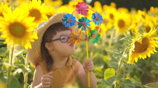 Raising a child with Down syndrome. A girl with down syndrome with a windmill in a field of sunflowers. - Footage, Video