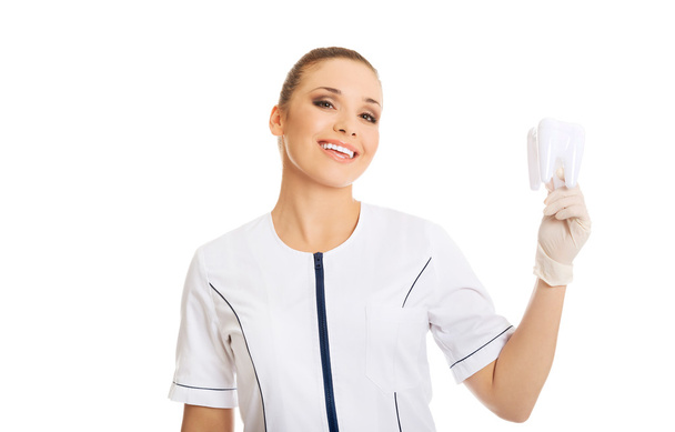 Dentist holding a tooth model - Фото, зображення