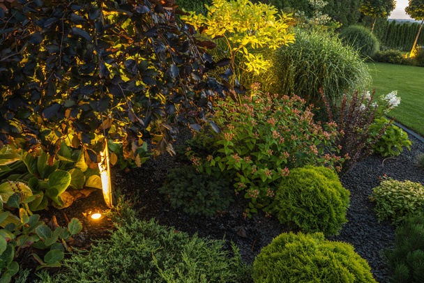 Elegáns Színes kertkert, modern LED világítási rendszerrel megvilágítva. - Fotó, kép