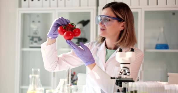 Tutkija tutkii punaisia tomaatteja haitallisten aineiden varalta laboratoriossa. Avustaja käyttää suojalaseja tutkii kypsiä vihanneksia tuholaisten ja nitraattien varalta hidastettuna - Materiaali, video