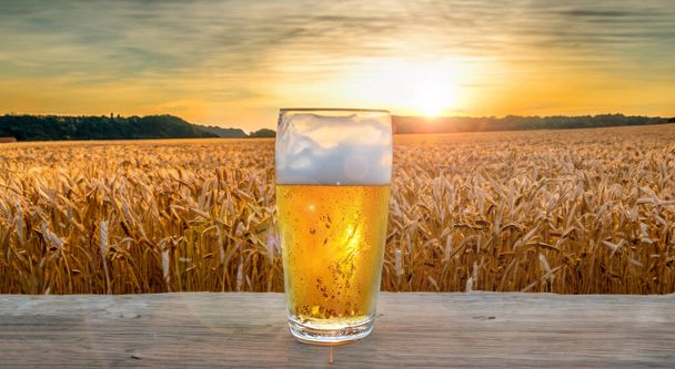 Buğday tarlasında bir masanın üzerinde bir bardak bira ve arka planda güneş ışığı. - Fotoğraf, Görsel