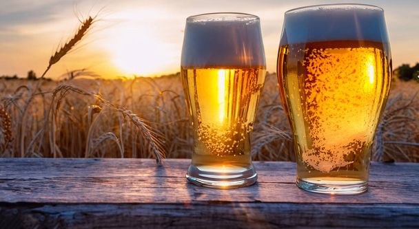 バックグラウンドHDのサンビームと小麦畑の小麦ビールのガラス - 写真・画像