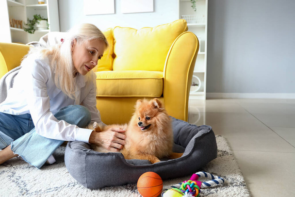 Mature woman with Pomeranian dog on pet bed at home - Photo, Image