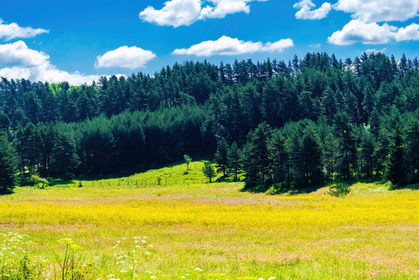 Letní krajina zeleného pole a modré oblohy s mraky - Fotografie, Obrázek