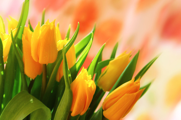 Buquê de tulipas amarelas
. - Foto, Imagem
