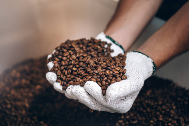 Close up sulle mani con un sacco di chicchi di caffè torrefatto, Controllo di qualità sul caffè arabica torrefatto nella piccola fabbrica di torrefattori aziendali. - Foto, immagini