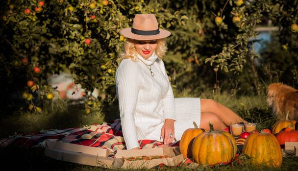 Outdoor sfeervol lifestyle portret van plus size mooie Europese dame. Warme herfst kleurrijk portret op zonnige dag - Foto, afbeelding