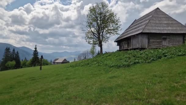Bergweide met houten herdershut in het Karpaten gebergte - Video