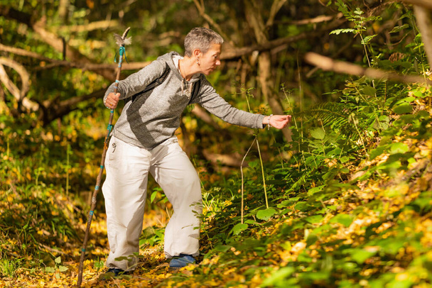 Uważność w ruchu. Uważna kobieta w średnim wieku zwiedzająca las jesienią - Zdjęcie, obraz