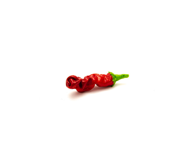 Peter pepper or Penis pepper rare ripe fruit with distinctively, interesting, phallic shape isolated on white background fresh picked homegrown organic chili bright red. Clipping path and copy space - Foto, Imagem
