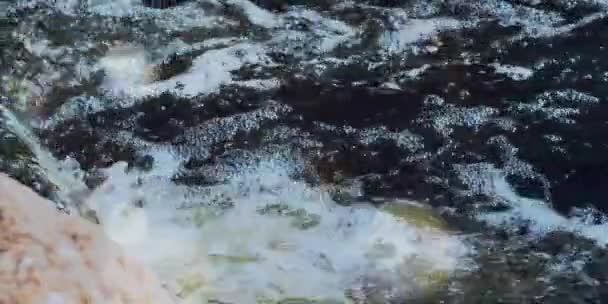 Ruisseau, eau blanche, jet de bain tourbillon, rayons du soleil - Séquence, vidéo