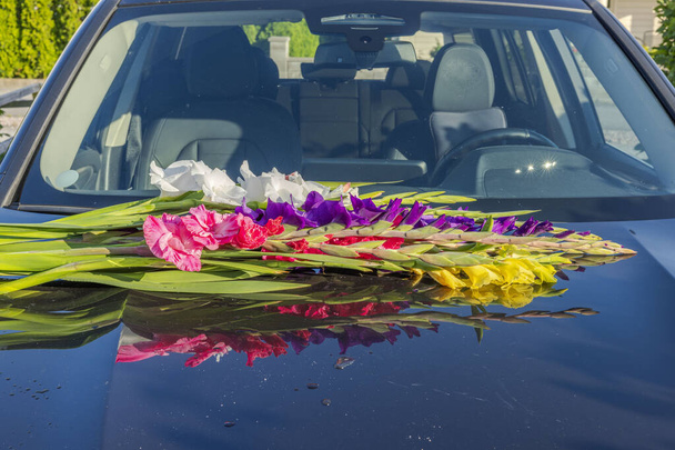 Blisko widok kolorowe gladiolusy na masce czarny samochód. Szwecja. - Zdjęcie, obraz