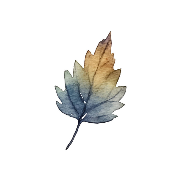 Akvarell őszi levelek elrendezése - Vektor, kép