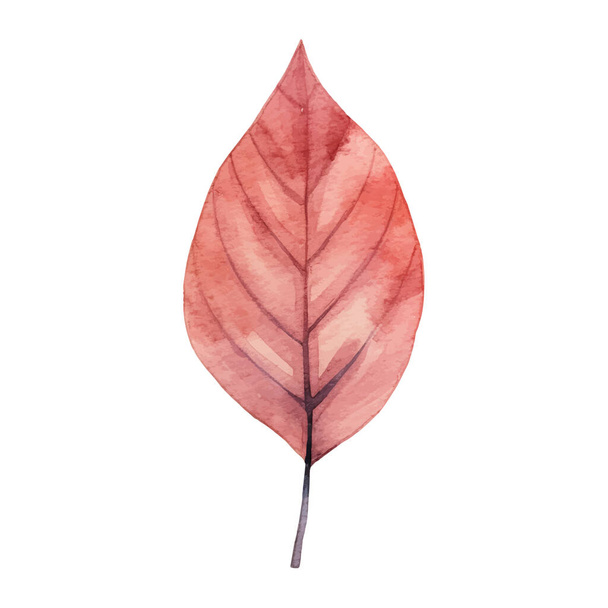 Uspořádání podzimních listů akvarelu - Vektor, obrázek