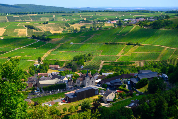 Aerial view on hilly Sancerre Chavignol appellation vineyards, Cher, France, looking iver Loire valley, noted for its white Sancerre dry savignon blanc wine - Foto, afbeelding