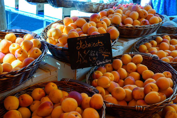 New harvest of fresh ripe sweet yellow-red apricots fruits in Provence, France. English translation: Apricots from producer from Cavaillon. - Photo, Image