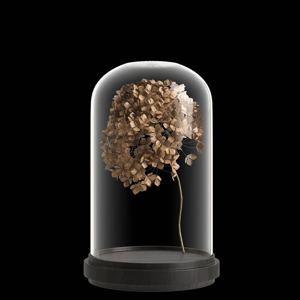 黒い背景に隔離された花瓶の3Dイラスト - 写真・画像