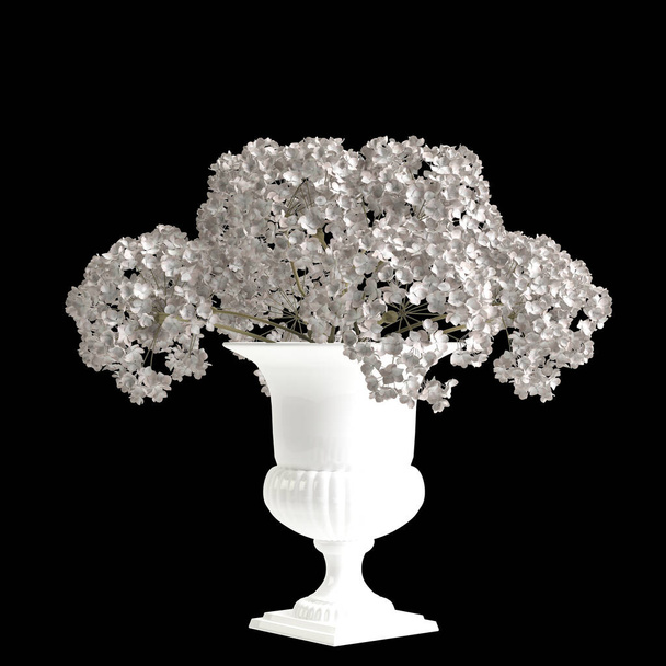 3D-Illustration der Blumenvase Dekor isoliert auf schwarzem Hintergrund - Foto, Bild