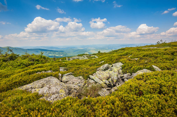 Belle vue sur les montagnes ukrainiennes Carpates et vallées.Belles montagnes verdoyantes en été avec des forêts, des rochers et de l'herbe. Crête hydrographique des Carpates, montagnes des Carpates - Photo, image