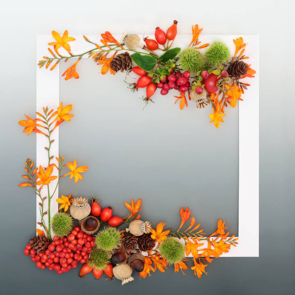 Αφθονία Ημέρα των Ευχαριστιών και το φθινόπωρο εορταστική φύση πλαίσιο έννοια με λουλούδια, φρούτα μούρο, ξηρούς καρπούς με λευκό πλαίσιο σε γκρι κλίση. Ευχετήρια κάρτα, πρόσκληση, σχεδιασμός ετικέτας. - Φωτογραφία, εικόνα