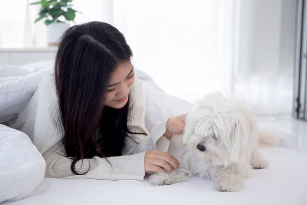 Kaunis nuori aasialainen nainen leikkisä pörröinen koira shih tzu rentoutua rakkaudella sängyssä makuuhuoneessa kotona, ystävät lemmikki kumppani, ystävyys naisen ja eläimen, naisen ja ystävällinen pentu. - Valokuva, kuva