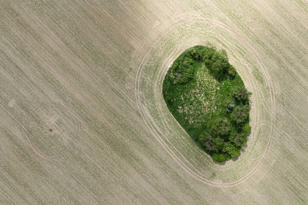 Wiejskie kształty wiejskie rolnicze w polu Aerial Drone zdjęcie. Kształt drzew na polu w Polsce - Zdjęcie, obraz