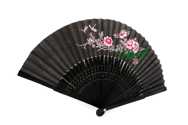 Black chinese hand fan over white - Photo, Image