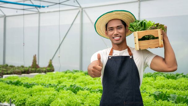 Africký Američan ukazuje palec nahoru a drží dřevěnou krabici zeleniny ve skleníku hydroponie. - Fotografie, Obrázek