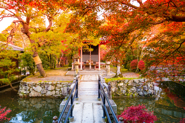 Осенняя листва
 - Фото, изображение