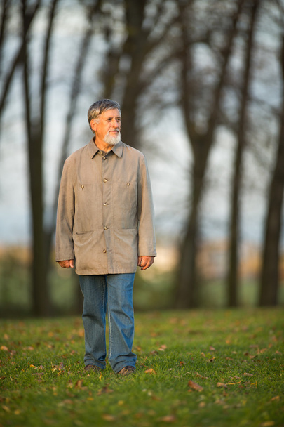 Senior man outdoors - Foto, Imagen