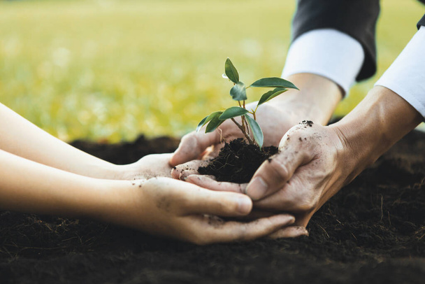 Podnikatelé pěstují a pěstují rostliny na hnojené půdě s mladými chlapci jako ekologickou společností, která se zavázala k sociální odpovědnosti podniků, snižuje emise CO2 a přijímá principy ESG pro udržitelnou budoucnost.Gyre - Fotografie, Obrázek