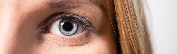 Close-up of female eye - Fotoğraf, Görsel