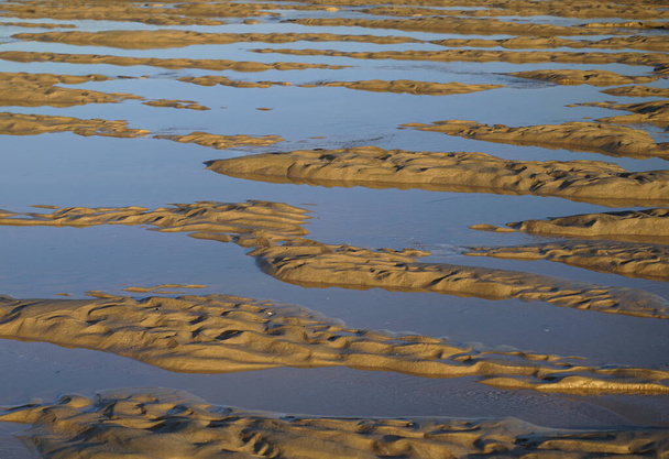 sand dunes on the beach - Photo, Image