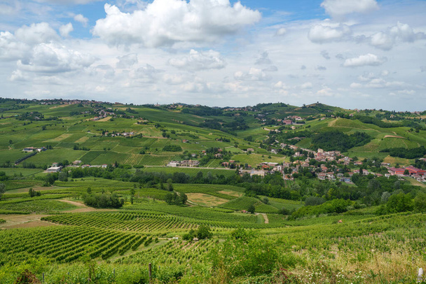 Heuvels van Oltrepo Pavese, Pavia provincie, Lombardije, Italië, in de lente. Wijngaarden - Foto, afbeelding
