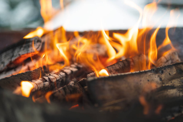 όμορφη φωτιά πολύχρωμα εγκαύματα φωτιά στη σχάρα για το μαγείρεμα των τροφίμων - Φωτογραφία, εικόνα