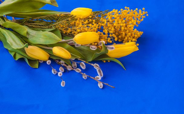 Mimosa, willow twigs and tulips - Photo, Image