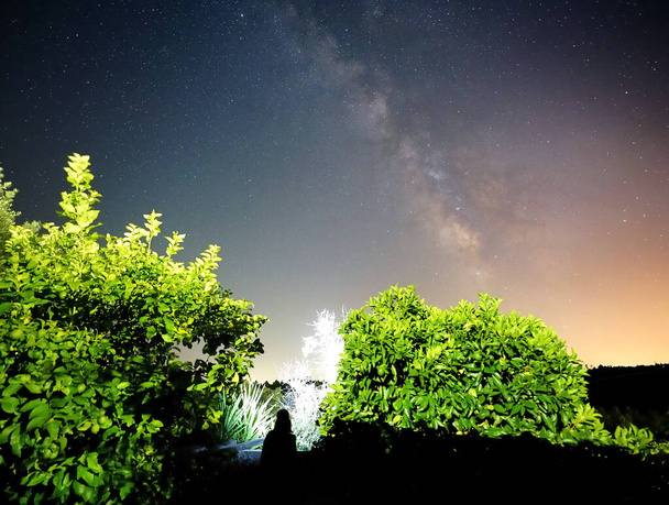 night landscape with stars and trees - Photo, Image