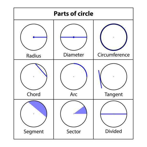 Parts of the circle. Radius, Diameter, coreference, chord, arc, tangent, segment, sector, divided, math teaching pictures. Geometric shapes. Vector illustration. - Vector, Image
