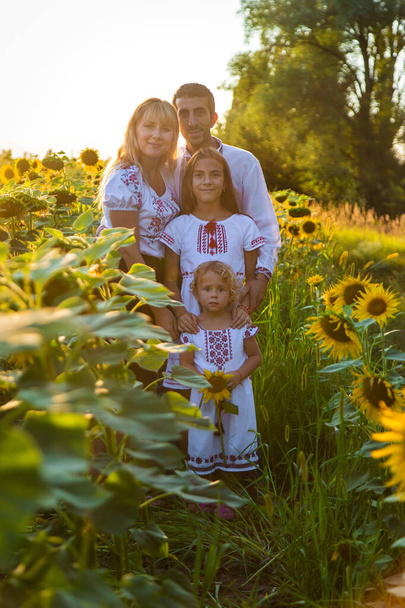 Family Ukraine in the field of sunflowers. Selective focus. Nature. - Photo, Image