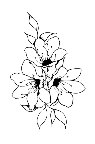 Abstraktní květinové umění pro barvení nebo kreslení čáry izolované na bílém pozadí - vektorová ilustrace - Vektor, obrázek