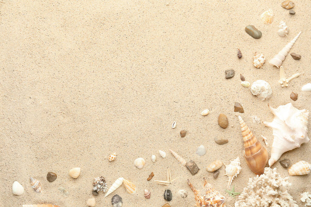 Conchas diferentes na praia arenosa - Foto, Imagem