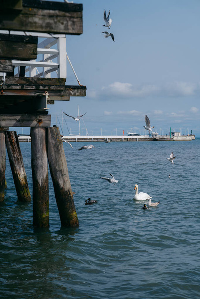 Molo w Sopocie è un molo iconico Sopot, il molo di legno più lungo dei Polacchi, che offre viste mozzafiato sul Mar Baltico, tempo libero e fascino costiero. Foto di alta qualità - Foto, immagini