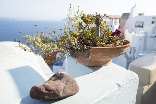 サントリーニ島、ギリシャでアンティーク植木鉢 - 写真・画像