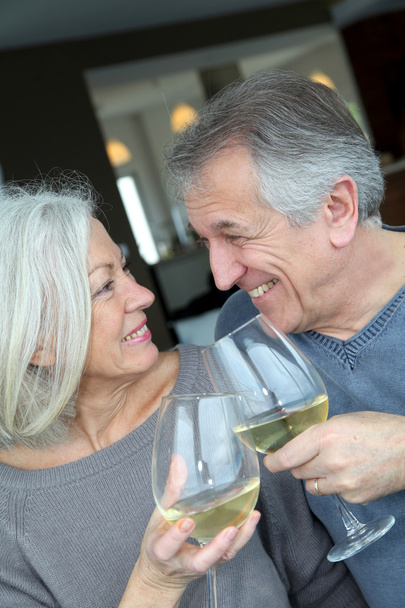 Portrait of happy senior couple cheering with wine - Fotografie, Obrázek
