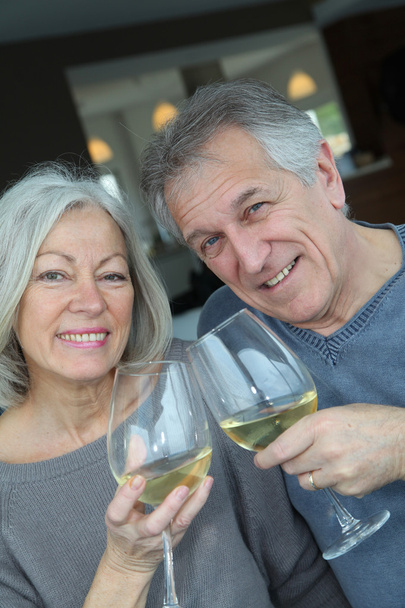 Portrait of happy senior couple cheering with wine - 写真・画像