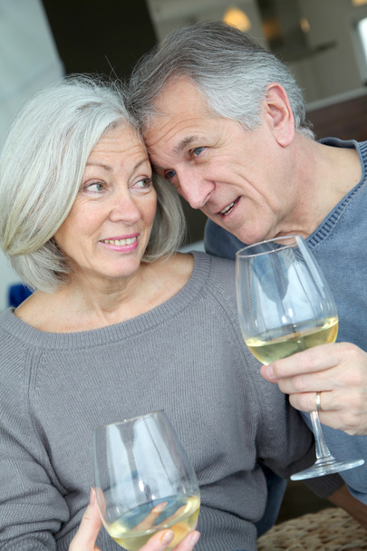 Portrait of happy senior couple cheering with wine - Фото, изображение