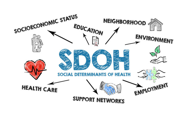 SDOH Social Determinants Of Health. Illustration avec icônes, flèches et mots-clés sur fond blanc. - Photo, image