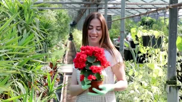Una chica joven y bonita se encuentra en medio de un hermoso invernadero y sostiene una maceta de flores - Metraje, vídeo