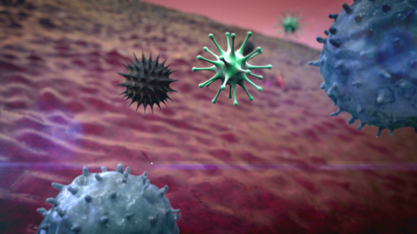 virus, makrofágů - Záběry, video