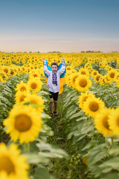 Kaukázusi fiú hagyományőrző ing vyshyvanka gazdaság ukrán zászló napraforgó mező - Fotó, kép